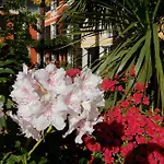 Frühstückspension Casa Concerto Hotel Brissago TI