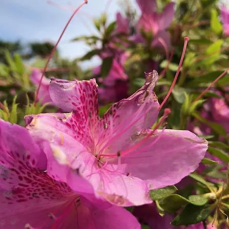 Frühstückspension Casa Concerto 3*