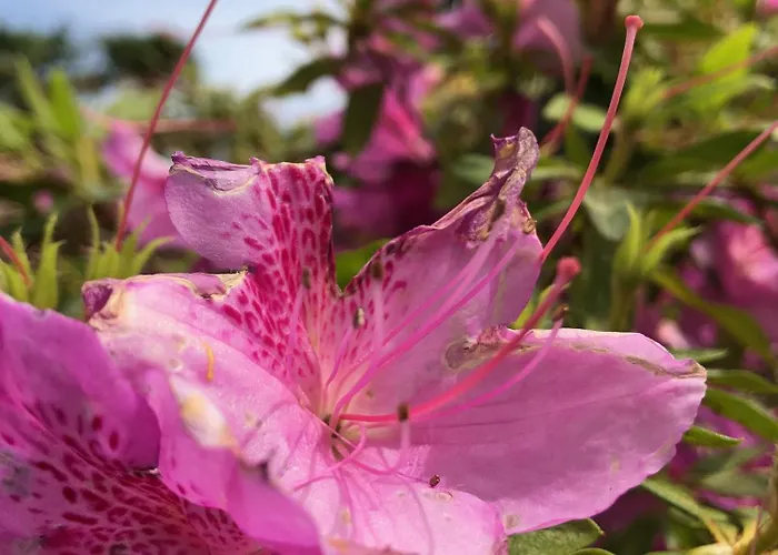 Bed & Breakfast Casa Concerto 3*