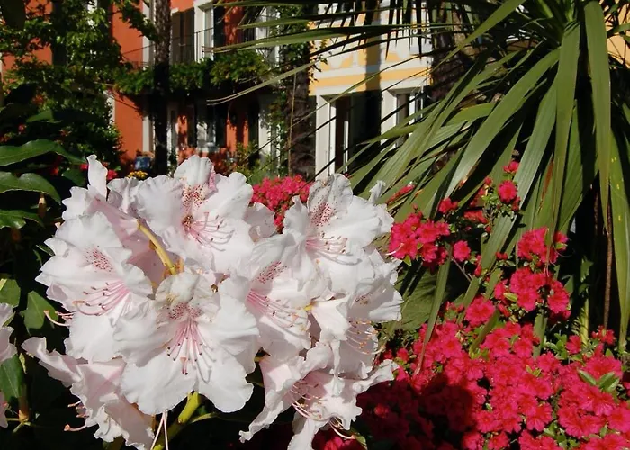 Bed & Breakfast Casa Concerto Brissago