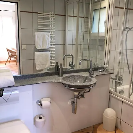 Casa Concerto 3* Brissago